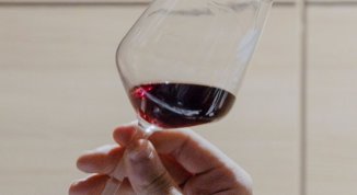 Barbera d’Asti Wine Festival 2025 in piazza Alfieri