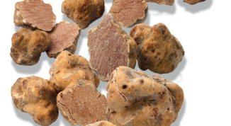 Fiera Nazionale del Tartufo e Fiera di San Martin 2025 a Canelli