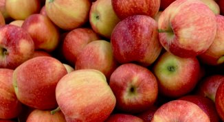 Tuttomele 2025 a Cavour