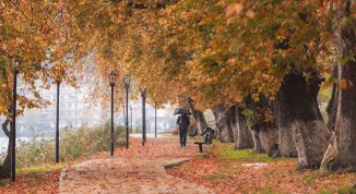Foliage a Roma: dove ammirare i colori autunnali, dal Giardino degli Aranci a Villa Borghese
