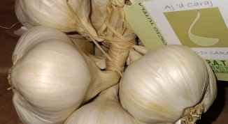 Sagra della Bagna Cauda e Aj a Caraglio