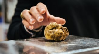 Fiera Internazionale del Tartufo Bianco a Murisengo Monferrato