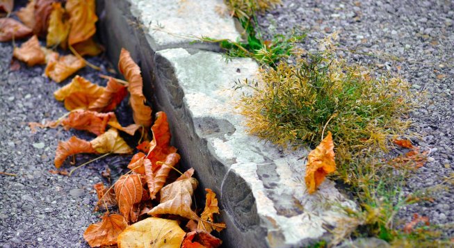 ©Athree23 - Pixabay