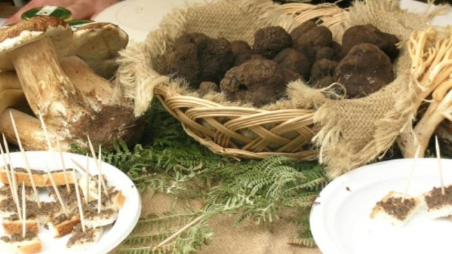 Fiore Silvestro Barbato - Flickr.com