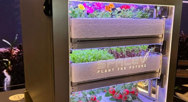 Prototipo serra adattiva verticale