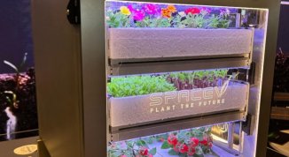 Basilico spaziale? La sfida della coltivazione di vegetali nello spazio