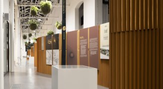 Quando l'essenziale è invisibile agli occhi, mostra per i 50 anni dello Studio Belvedere