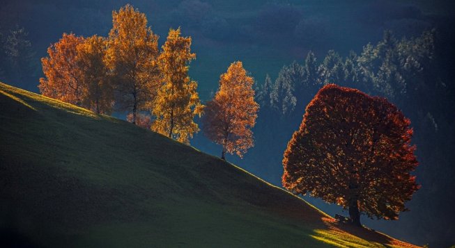 Claudio Vancini, Autumn light