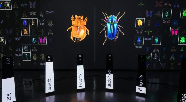 Data Bugs, Dotdotdot © Dsl Studio / Piercarlo Quecchia