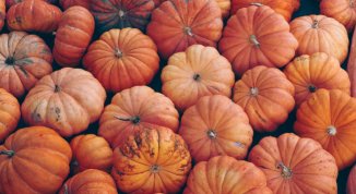 Fiera d'Autunno a Ronco Scrivia 2025