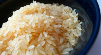 Giornata Nazionale della Colletta Alimentare 2025 a Genova e in Liguria