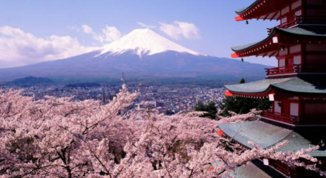 Arona Japan Festival 2025: il Giappone protagonista sul Lago Maggiore