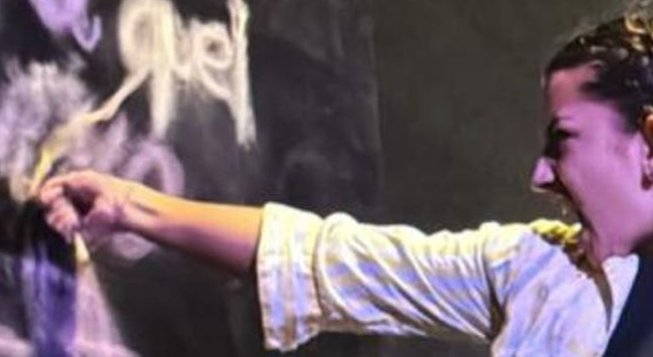 Pensavo fosse un insetto invece era un colibrì (locandina)