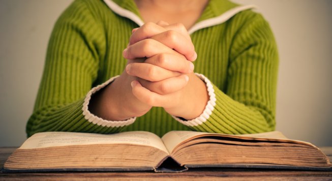 Libro © shutterstock