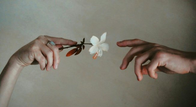 Mani di donna © Adalia Botha / Unsplash
