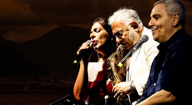 Maurizio De Giovanni, Pugni nel cuore