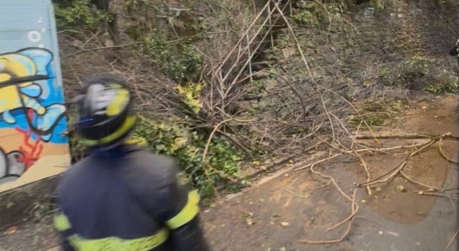 Vigile del fuoco e albero caduto a Genova © Ancila Mettekkatt