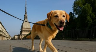 Torino è la città più pet-friendly d’Italia: il 66% dei residenti ha un cane o un gatto