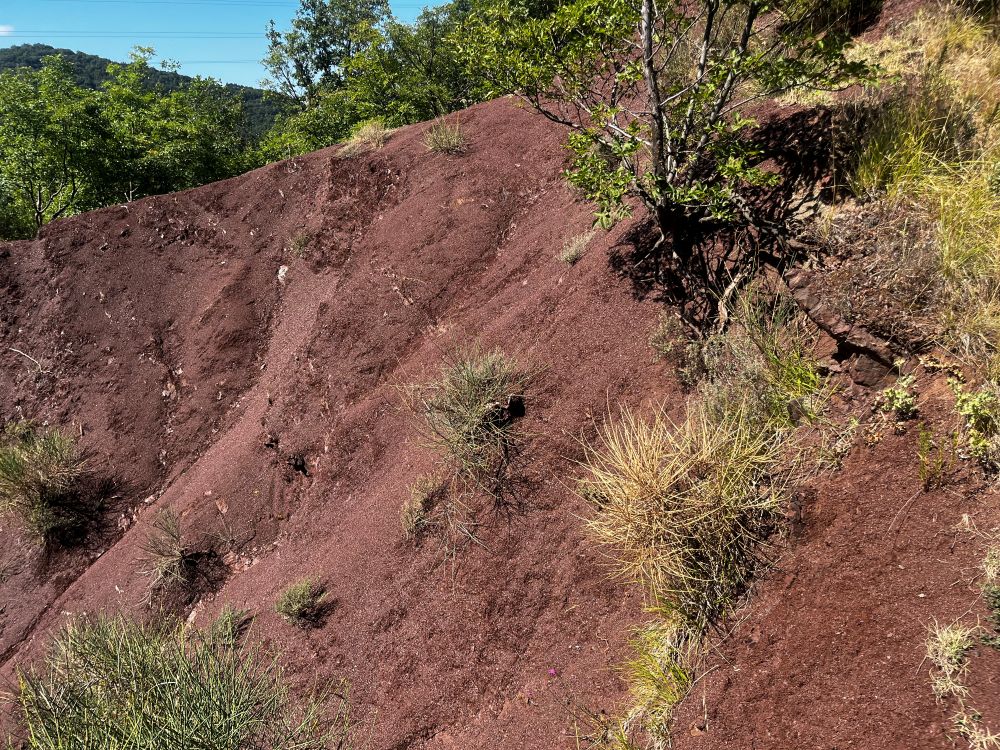 terre rosse