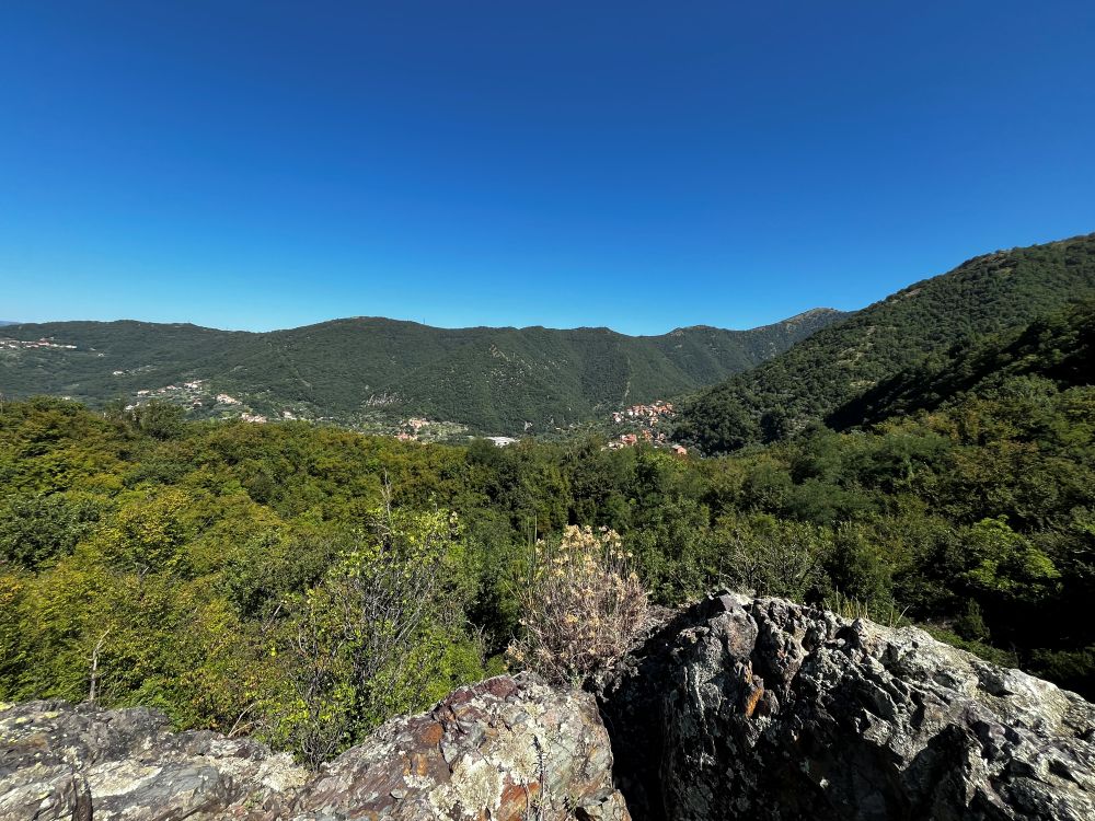 vista