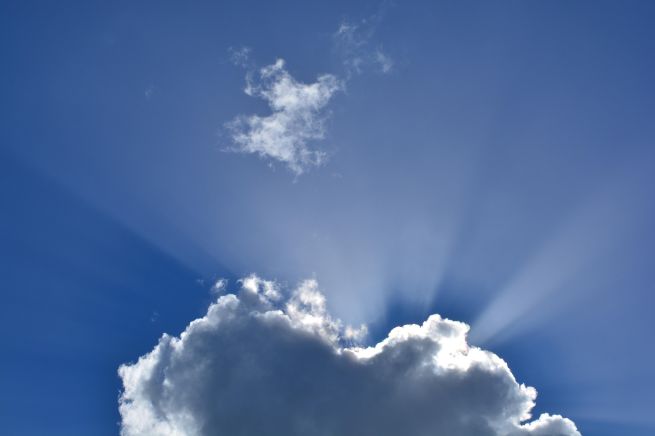 Sole