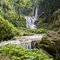 Esplora Villa Gregoriana: natura e storia tra cascate e rovine a Tivoli