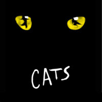 Il musical 'CATS' incanta Trieste: spettacolo al Teatro Rossetti