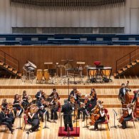 Insubria Chamber Orchestra in concerto con Carlo Levi Minzi, dirige Giorgio Rodolfo Marini - Serate Musicali