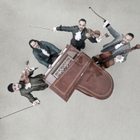 Jánoška Ensemble in concerto - Serie Zaffiro