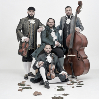 Jánoška Ensemble in concerto - Serie Zaffiro