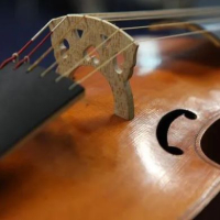 Ensemble Vocale Segreti Accenti: concerto al Teatro Verdi di Pisa