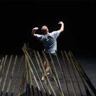 TROGLODYTE_ZAUNGAST/ZAUNKÖNIG