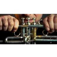 Cerone in 'ncopp a sta terra