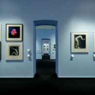 Visite guidate alla mostra Robert Mapplethorpe: le forme del desiderio, con il curatore Denis Curti