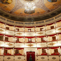 La signora delle camelie