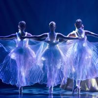 Ballet of lights - gift card