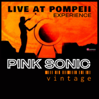 PINK SONIC VINTAGE, LIVE AT POMPEII EXPERIENCE