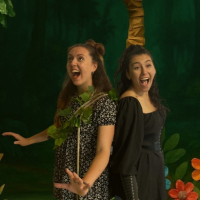 Robin: una foresta da salvare, spettacolo per bambini di Caterina Soccini e Denes Gioia