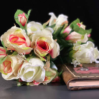 La signorina papillon