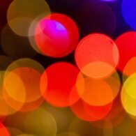 Fabio De Luigi - Biol - In carne e ossa tour