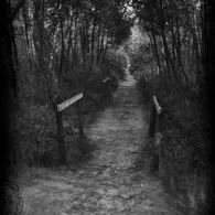 Woyzeck solo, dramma per voce sola