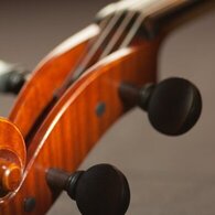 Da zero a Liga in orchestra: Ligabue tribute show