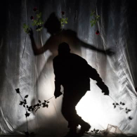 LA BELLA O LA BESTIA