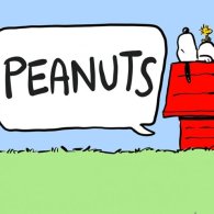 Peanuts di Fausto Paradivino
