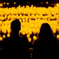 Candlelight: Cremonini