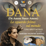 DANA (DA AMORE NASCE AMORE): LO SGUARDO FELINO SUL MONDO