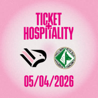 Palermo - Avellino, partita di Serie BKT 2025/26 con ticket e hospitality
