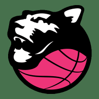 People Strategy Panthers Roseto - Humana Reyer Venezia, partita di basket