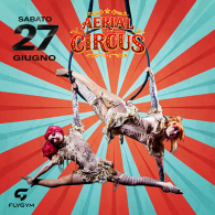 Aerial Circus