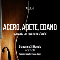 Acero, abete, ebano